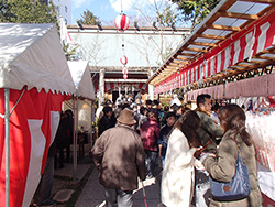 高知大神宮の正月の賑わい